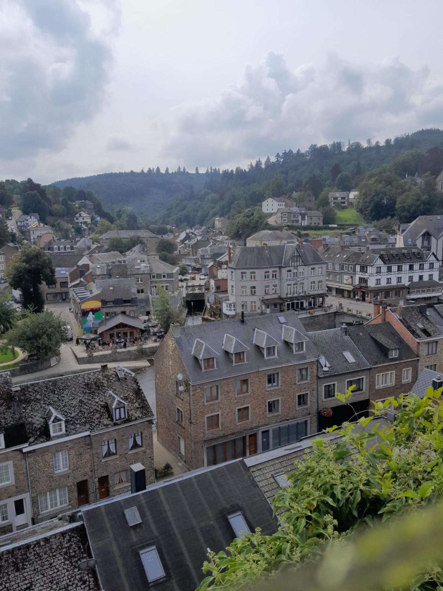 Le Panorama Villa La-Roche-en-Ardenne Bilik gambar