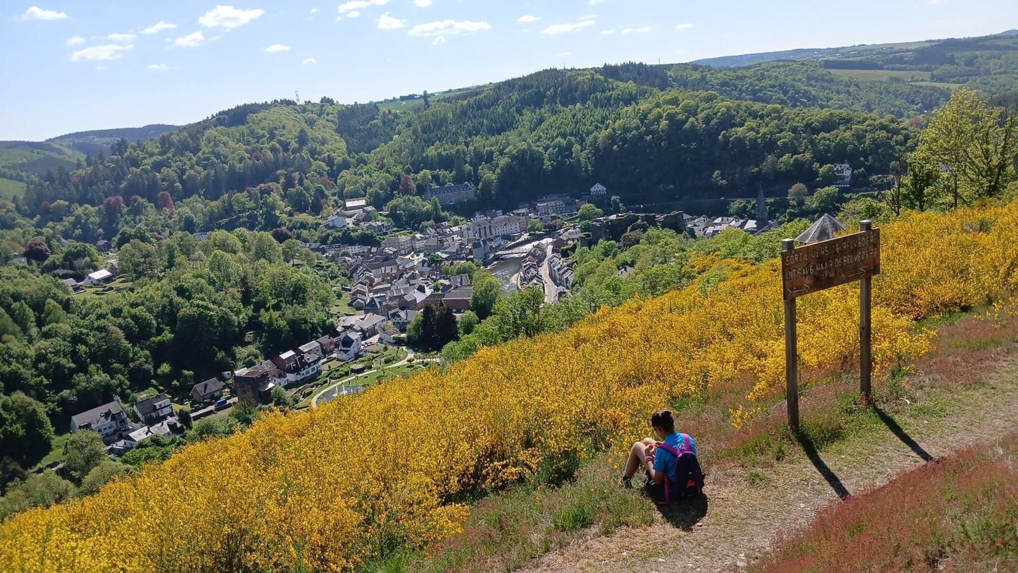 Le Panorama Villa La-Roche-en-Ardenne Luaran gambar